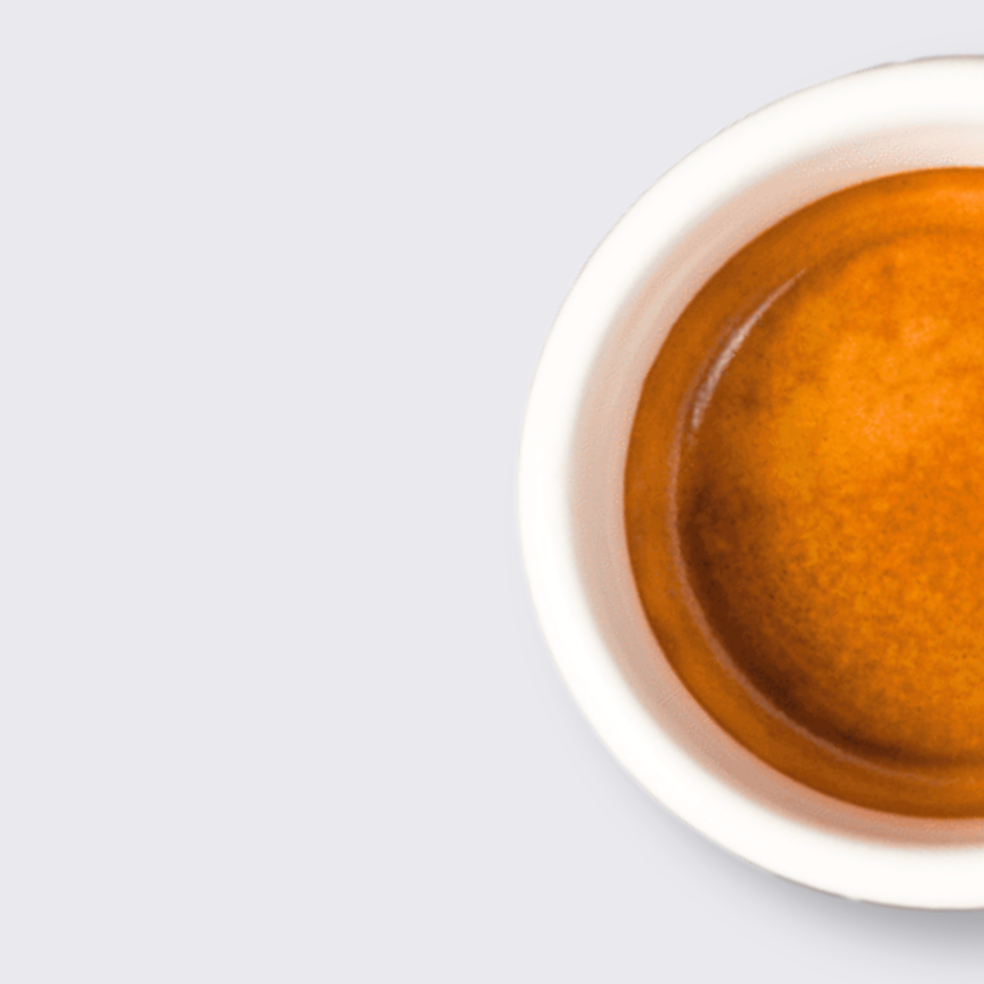 Delavnica za začetnike